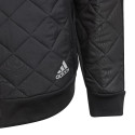 Adidas Future Warm