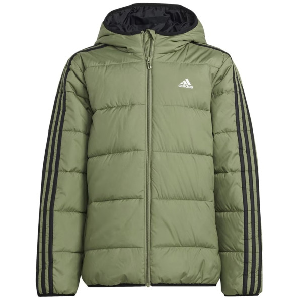 Adidas Padded Jacket