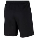 Nike Park 20 Short