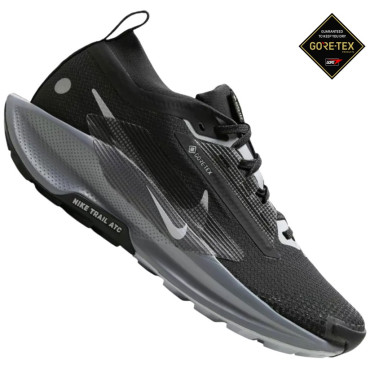 Nike Pegasus Trail 5 GORE-TEX