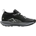 Nike Pegasus Trail 5 GORE-TEX