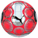 Puma Cage Ball