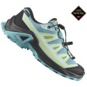 Salomon X Ultra GORE-TEX