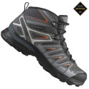 Salomon X Ultra Pioneer GORE-TEX