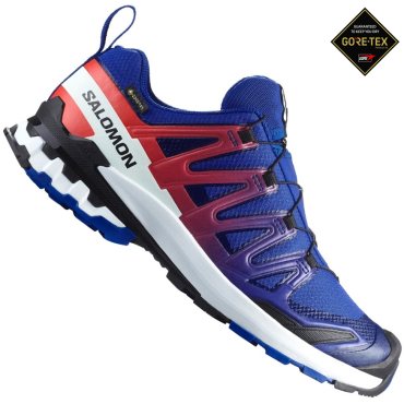 Salomon XA Pro 3D V9 GORE-TEX EQUIPE