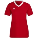 Adidas Entrada 22 Tee