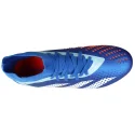 Adidas Predator Accuracy 2
