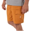 Aulp Banco Shorts Kombucha