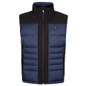 Aulp Vlaki Vest
