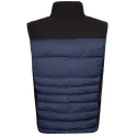 Aulp Vlaki Vest