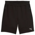 Puma EvoStripe Shorts