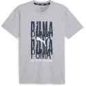 Puma Graphics Emblem Tee