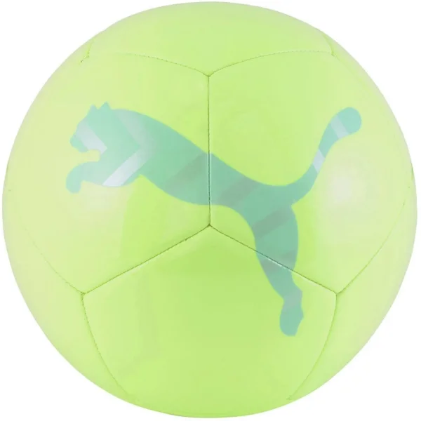Puma Icon Ball