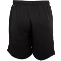Puma TeamRise Short