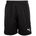 Puma TeamRise Short
