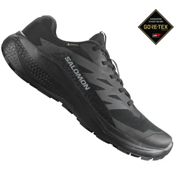 Salomon AlphaGlide GORE-TEX